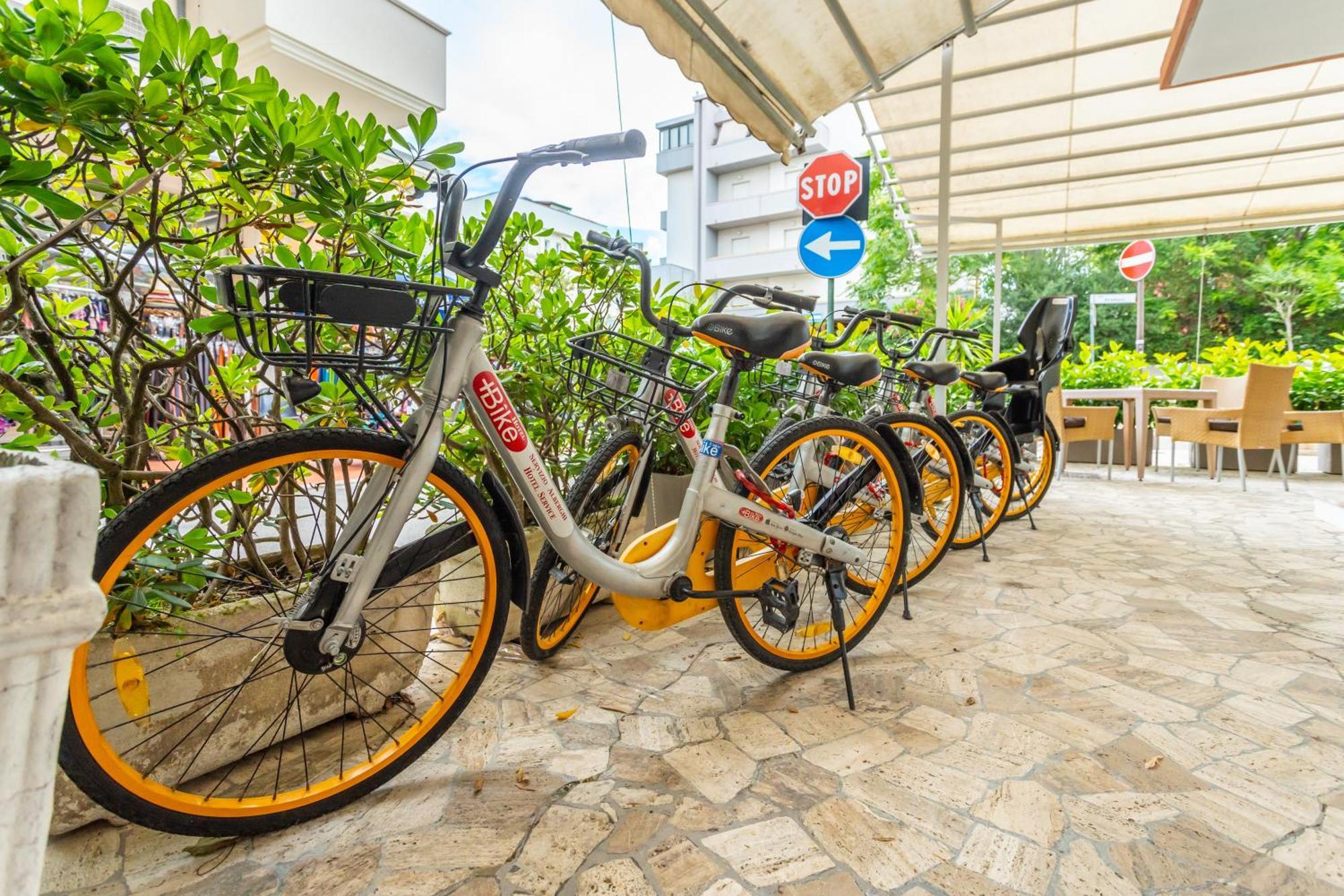 Hotel Selene - Vista Mare Riccione Dış mekan fotoğraf